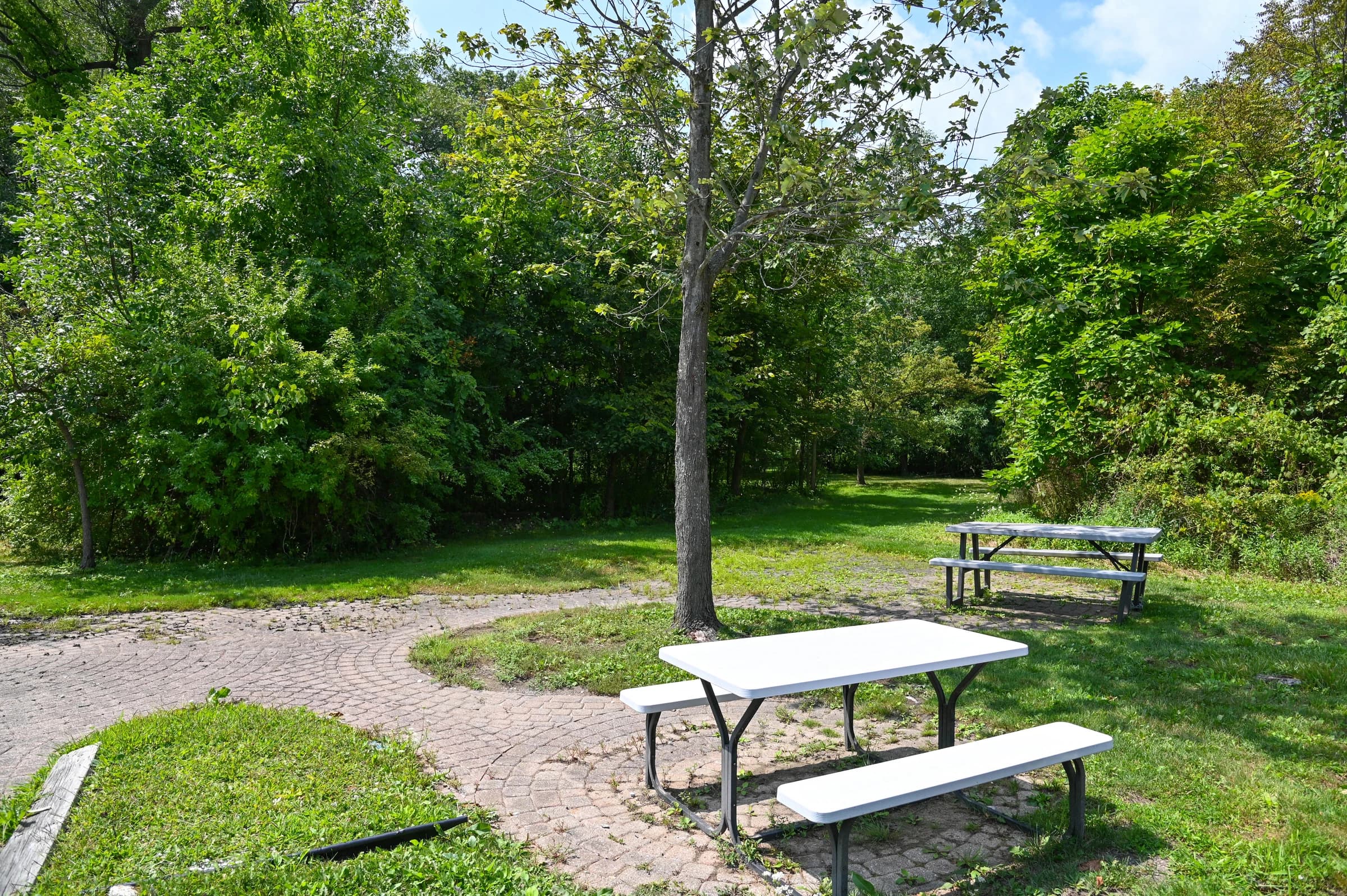 Picnic tables in a shaded green space